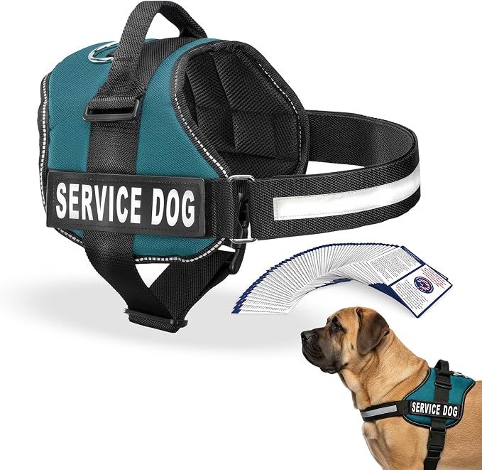 Industrial Puppy Service Dog Vest Harness - Durable & Adjustable Vest for Dog with Reflective Straps, Removable Patches, 50 ADA Cards, Handle & D-Ring, Travel and Daily Use, (Teal, XL 30"-39")