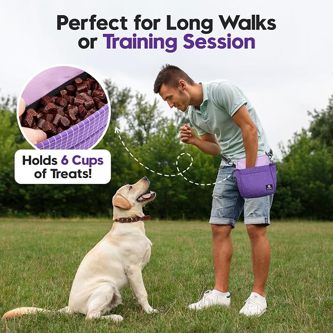 Dog Treat Pouch for Training, Magnetic Dog Walking Bag and Fanny Pack | Large treat pocket with poop bag dispenser, clicker and bowl; hands-free for dog training, walks, park trips and travel