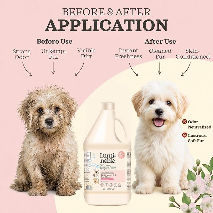2in1 Hypoallergenic Dog Shampoo & Conditioner, Oatmeal & Collagen Formula | Tearless Dog Wash for Puppies, Itchy Skin Relief, White Musk Scent, Moisturizing & Skin Sensitive Friendly, Gallon Size