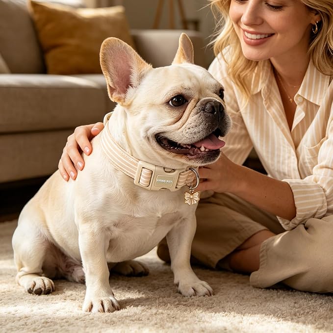 ARING PET Stripe Dog Collar, Cute Spring Summer Khaki Stripe Pet Collars with Bow Charm for Puppy Small Medium Large Boy Girl Dogs, for Daily Outdoor Walking Beach Stroll-L