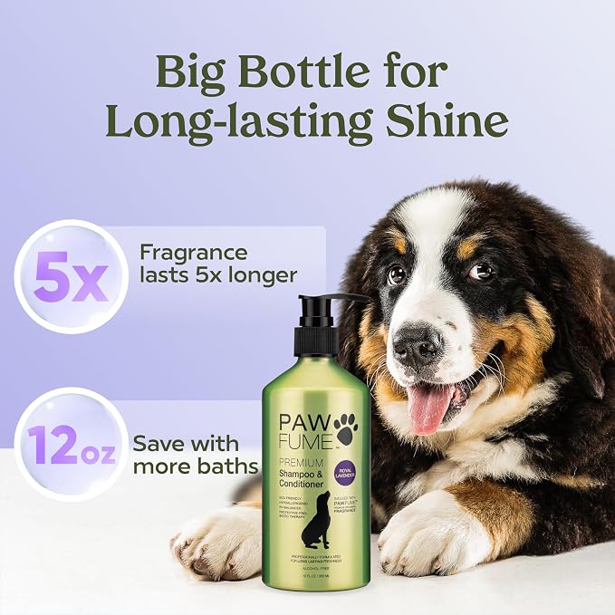 PAWFUME Dog Shedding Shampoo and Conditioner, Royal Lavender, 1-Pack | Probiotic pH-balanced deep-cleaning formula nourishes and detangles silky coats, salon-quality Shedding Shampoo for Dogs
