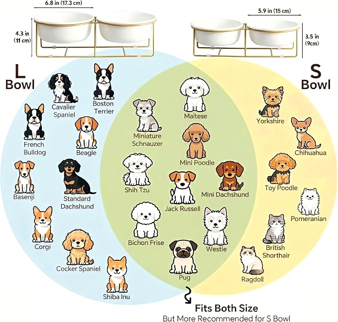 Elevated Dog Bowls for Food and Water - Double Ceramic Bowls with Metal Stand - Raised Feeding Station for Small and Medium Dogs - Each Holds 600ml / 3.2 Cups (Approx. 320g) - White