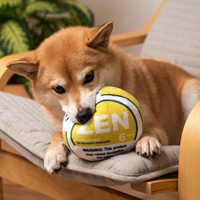 Nestpark Zen Pupper Deckies Parody Dog Toy - Plush Squeaky and Crinkle Funny Dog Toy (Citrus Lick)