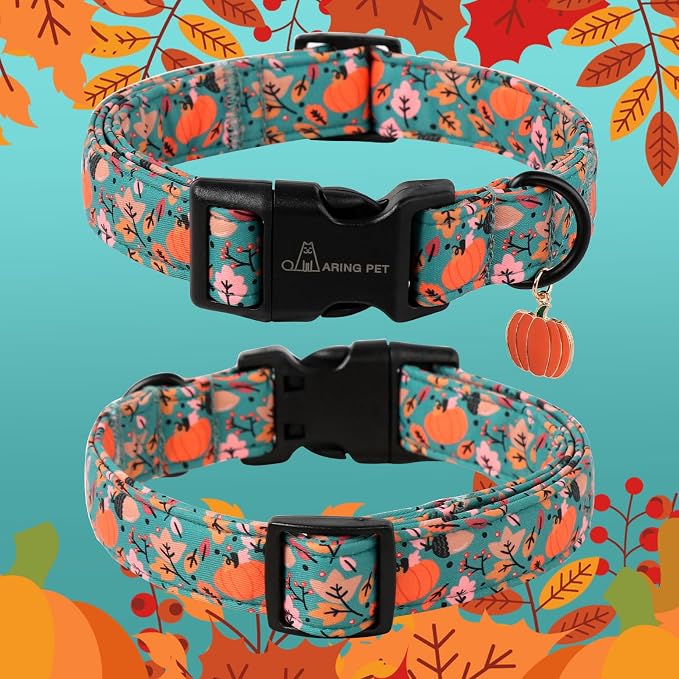 ARING PET Fall Dog Collars, Cute Autumn Pumpkin Maple Leaves Pet Collar with Quick Release Buckle for Small Medium Large Girl Boy Dogs-M Deep Color