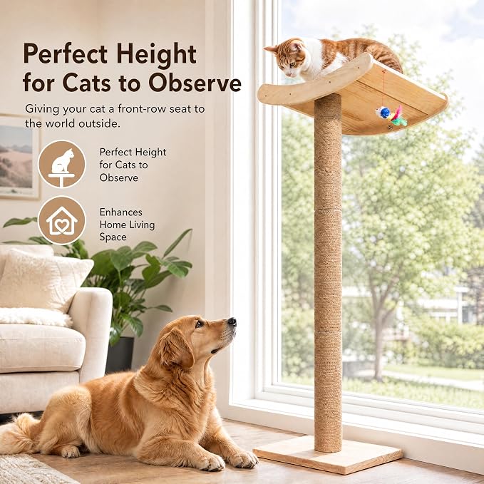 Cat Window Perch with Scratching Posts, 46-Inch Wooden Tree for Large Cats | For Big Cats & Maine Coons; Heavy-Duty Suction Cups Mounting; Spacious Wood Bed ; Drill-Free; Holds Up to 40 lbs