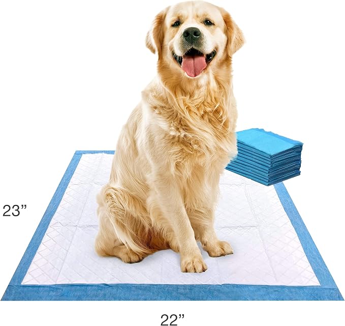Four Paws Wee-Wee Superior Performance Unscented Puppy Pee Pads for Dogs & Puppies, Quilted Leak-Proof Dog Housebreaking Potty Training Floor Protection, Pet Supplies, 22" x 23", 10 Count