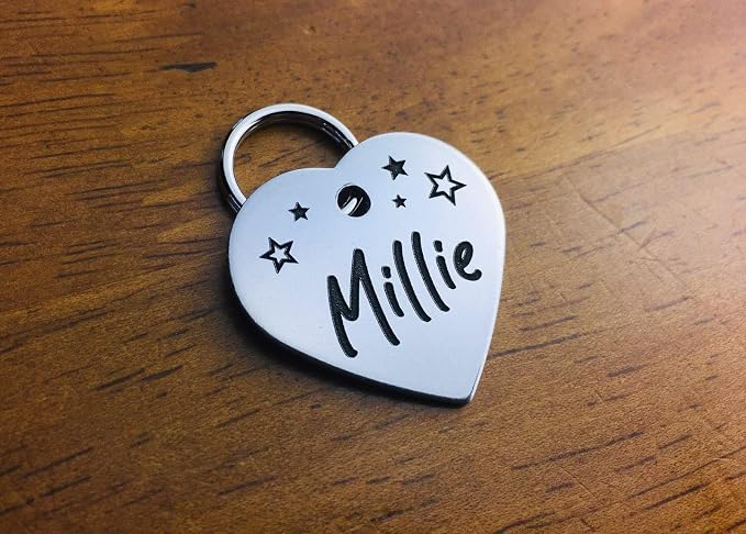 DEEP Custom Stainless Steel Pet ID Tags Front and Back Engraved Dog Tags Personalized for Dogs and Cats (Heart 1-1/8"x1-1/8)