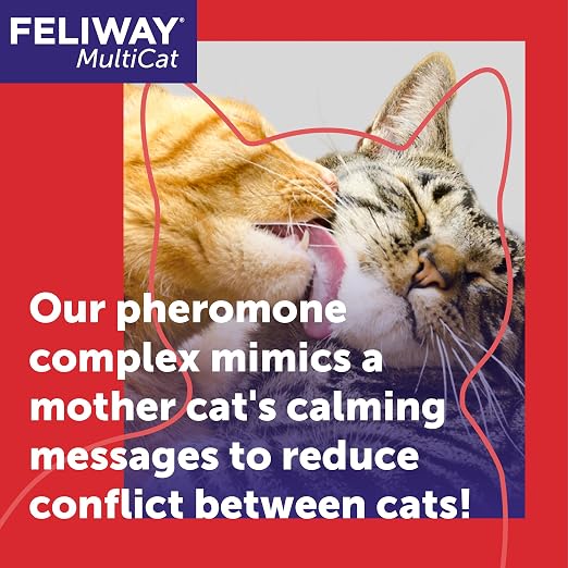 FELIWAY MultiCat 30 Day Cat Calming Plug in Pheromone Diffuser Starter Kit,48ml - Helps Reduce Conflicts and Signs of Tension in Multi-Cat Households,(Pack of 2)