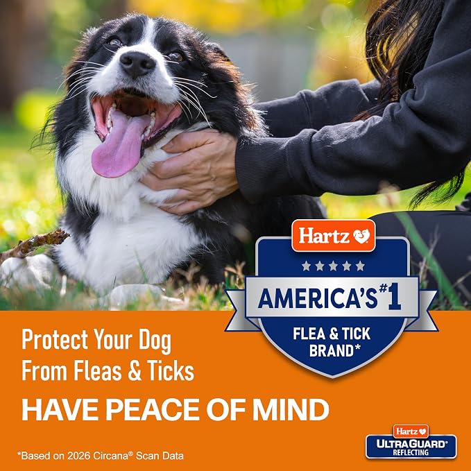Hartz UltraGuard Rid Flea & Tick Oatmeal Dog Shampoo, 18 oz Bottle
