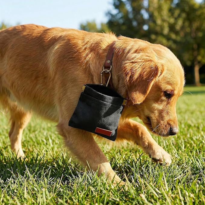 Dog Treat Pouch Black Pocket Sized Pet Training Pouch Training Pouch with Carabiner Buckle Auto Closing Dog Walking Bag Pet Feed Snack Reward for Pet Puppy Travel Outdoor Use