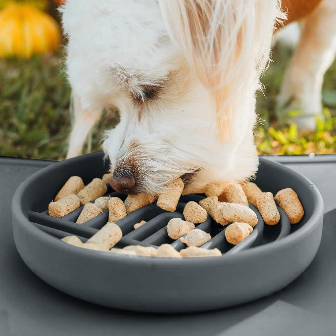 Should We Go? Slow Feeder Dog Bowls - Small Size Silicone Slow Eating Dog Bowl for Puppies & Dogs with Suction Cup -Dishwasher-Safe,Lick Mat Design,Reduces Gulping, for All Breeds, 6”x1.25”- Charcoal