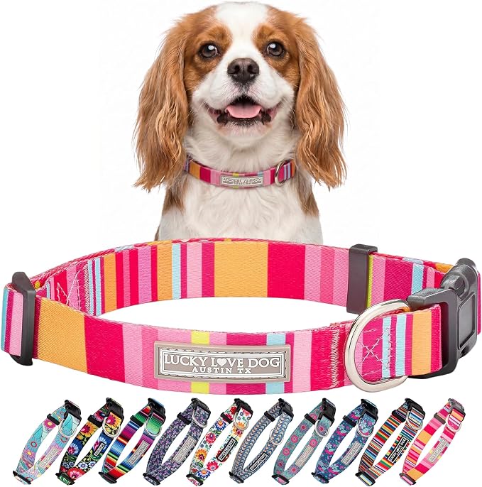 Lucky Love Dog - Adjustable Dog Collar with Easy Click Buckle for Small Dogs, Durable, & Comfortable for Male & Female Dogs, Pet Collar for Puppies & Adult Dogs - Molly, Small