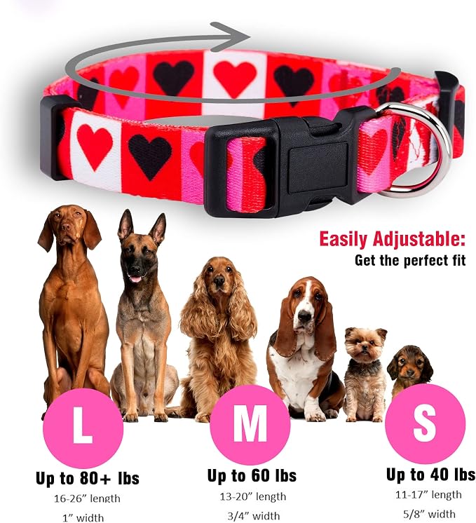 Native Pup Valentine’s Dog Collar- Valentines Day Pet Collars- Valentine Girly Hearts- Pink Red Heart- Cute Boy Girl Puppy Gift- Adjustable for Small, Medium, Large Breeds (Boxed Hearts, Medium)