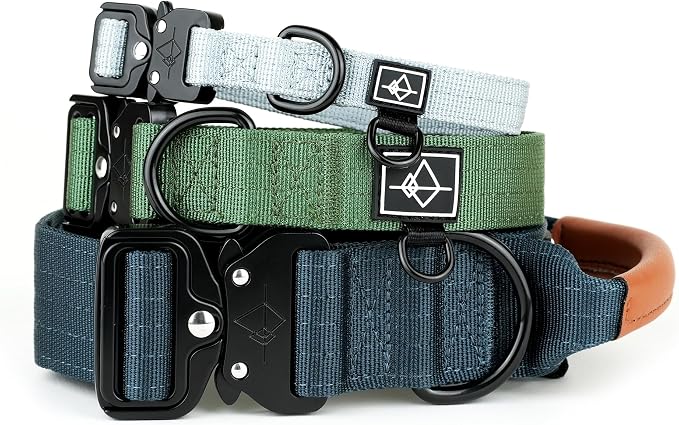 Made to ROAM Premium Explorer Control Collar - Adjustable Heavy Duty Nylon Dog Collar with Quick-Release Metal Buckle and Handle (Virginia Mountains, Control Size 2.5)