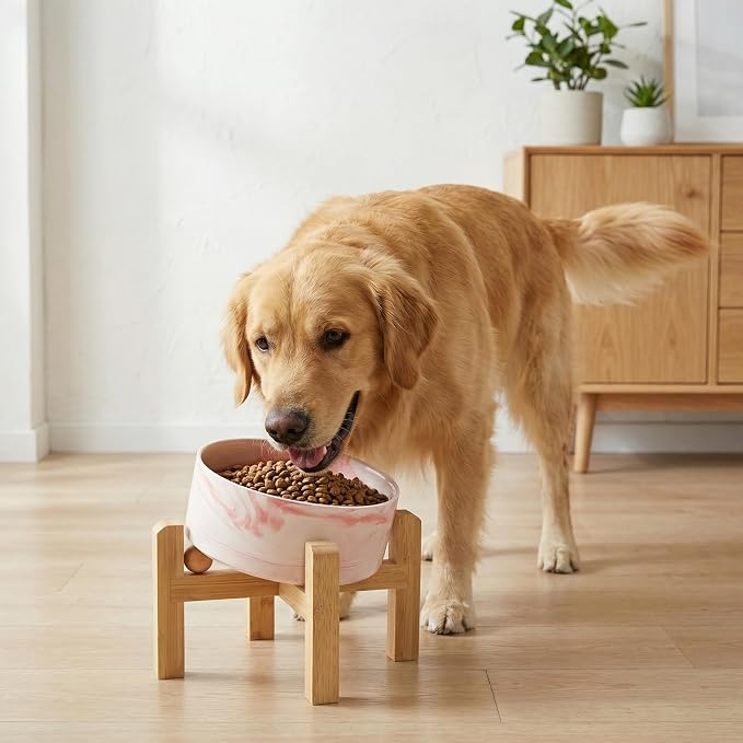 hjn Elevated Ceramic Dog Bowl 15°Slanted Raised Dog Bowl with Bamboo Stand for Small Medium Dogs and Cats, Pet Feeder -7.6-Cup (1800ml)-Marble Pink