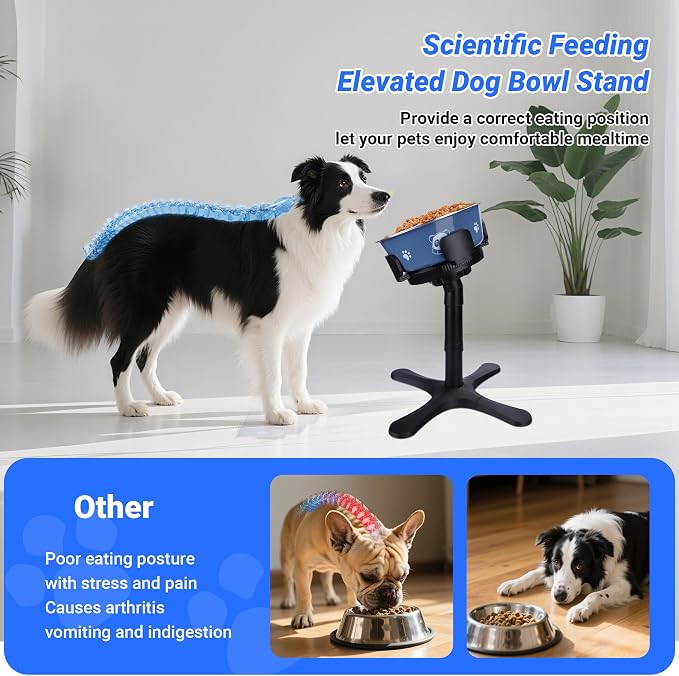 Dog Bowls,Elevated Adjustable Dog Bowl Stand with 3 Heights & Tilted Feeding Design, Raised Stand Compatible with Medium & Large Breeds(1 Pack) Black