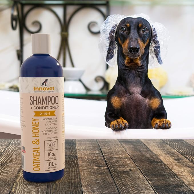 Innovet Pet Products All Natural Oatmeal & Honey Shampoo + Conditioner for Dogs Cats & Small Pets - 16 Oz - No Tear Shampoo for Allergies, Sensitive, Dry Itchy Skin Relief | Made in USA