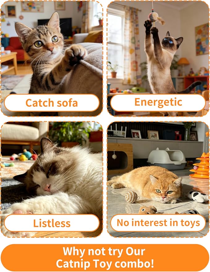 PET SHOW 20 Pack 1.57" Cat Toy Balls Soft EVA Foam Interactive Indoor Kittens Toys 40mm Dia. Small Dogs Puppies Pet Soccer Ball Bulk Activity Chase Quiet Play Two-Colors Cats Sponge Balls