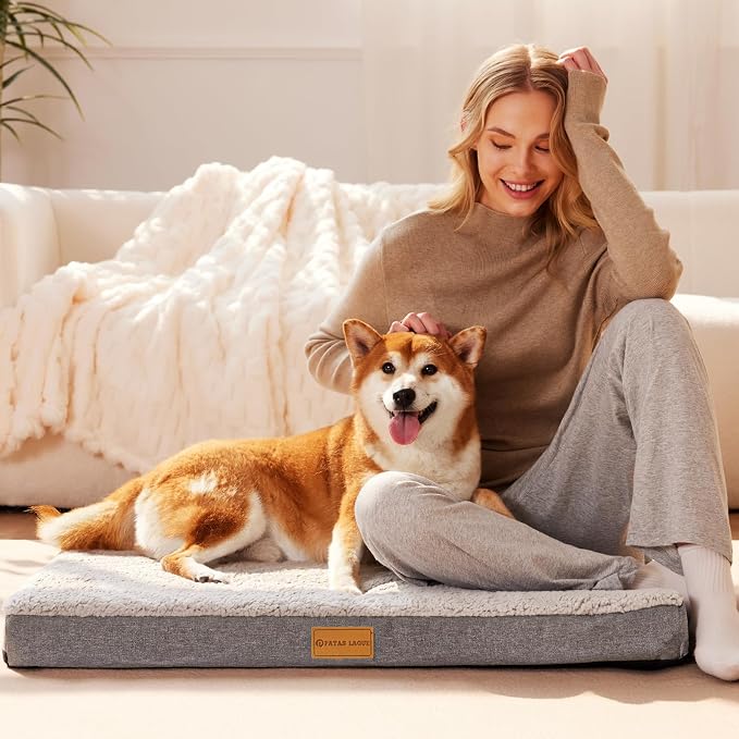 Patas Lague Orthopedic Large Dog Bed Washable Pet Sofa Mat 56''X40'' Ivory | Egg-Crate Foam Dog Couch For Large Sized Dogs, Waterproof Removable Cover, Soft Pet Crate Bed With Nonskid Bottom