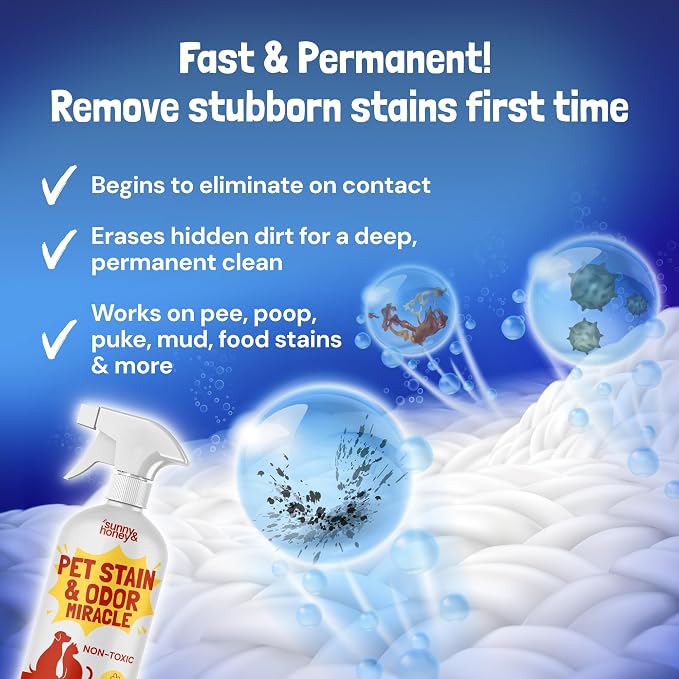 Sunny & Honey Pet Stain and Odor Remover Spray for Carpets, 32floz Spice | USA Made - Enzyme Cleaner for Dog Urine & Poop - Eliminates Set In Stains - Color Safe - For Rugs, Furniture & Car Seats