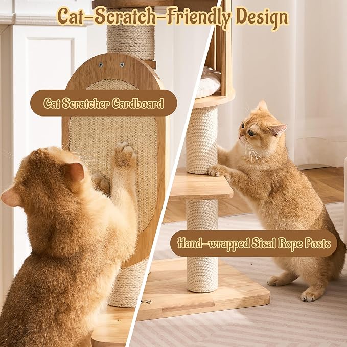 50" Modern Cat Tree for Indoor Cats Small to Medium, Solid Wood Cat Tower with Sisal Scratching Posts, Cat Scratcher Cardboard, Cozy Cat Beds & Hidden Cat Condo, Multi-Level Cat Furniture