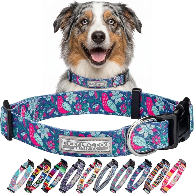 Lucky Love Dog - Adjustable Dog Collar with Easy Click Buckle for Medium Dogs, Durable, & Comfortable for Male & Female Dogs, Pet Collar for Puppies & Adult Ones - Carriebelle, Medium