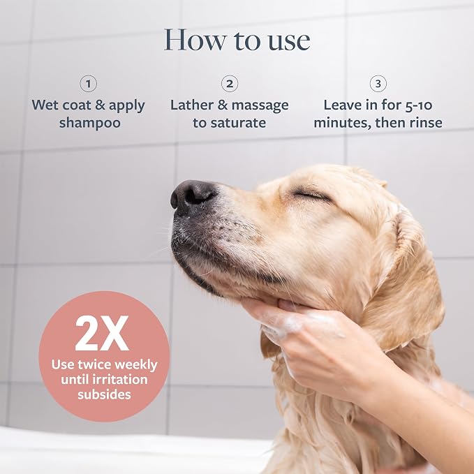 Veterinary Formula Clinical Care Hot Spot & Itch Relief Pet Shampoo, 16 oz | Medicated formula helps alleviate sensitive skin, scratching and excessive licking of the coat