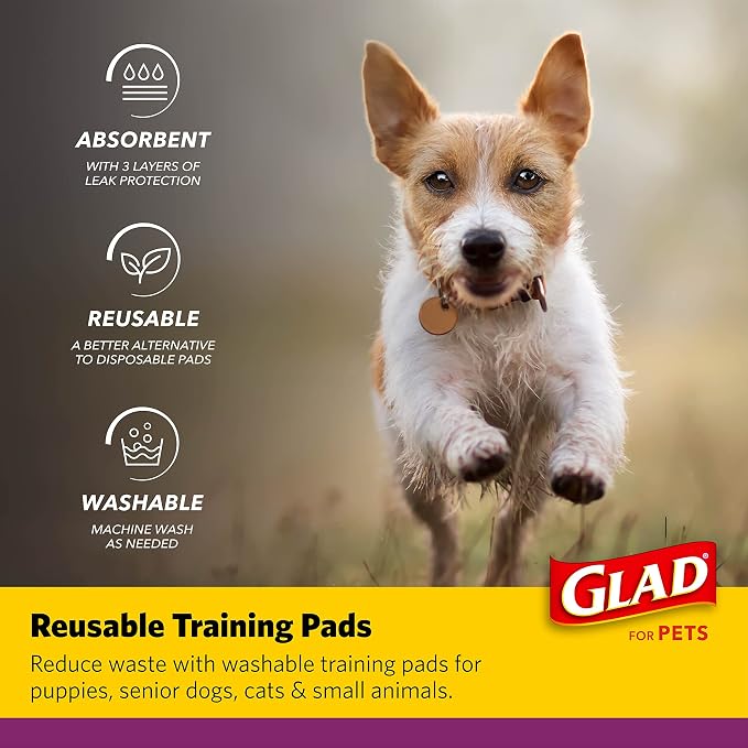 Glad for Pets Washable Dog Pee Pads, Medium, 24 x 36 Inch, 2 Count, Gray with Paw Prints, 3-Layer Leak Protection, No-Slip Vinyl Bottom, Reusable Puppy Training Pads (Pack of 2)