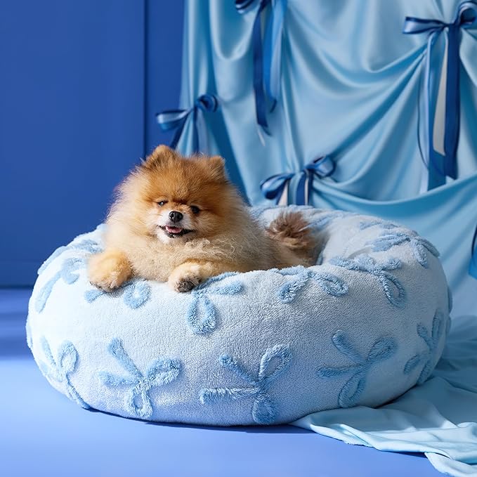 LE SURE Donut Small Dog Bed - Round Cat Beds for Indoor Cats Anti-Anxiety Calming Gift for Pets, Washable Cute Modern Beds with Jacquard Shaggy Plush & Anti Slip Bottom, 23 Inch, Ice Melt