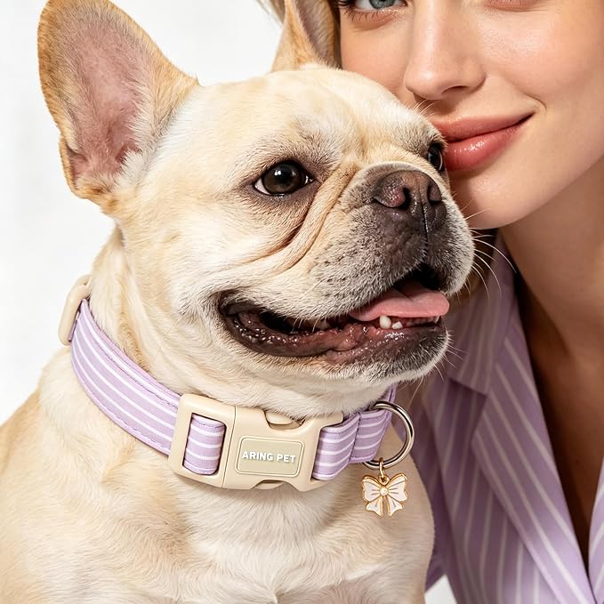 ARING PET Stripe Dog Collar, Cute Spring Summer Purple Stripe Pet Collars with Bow Charm for Puppy Small Medium Large Boy Girl Dogs, for Daily Outdoor Walking Beach Stroll-S