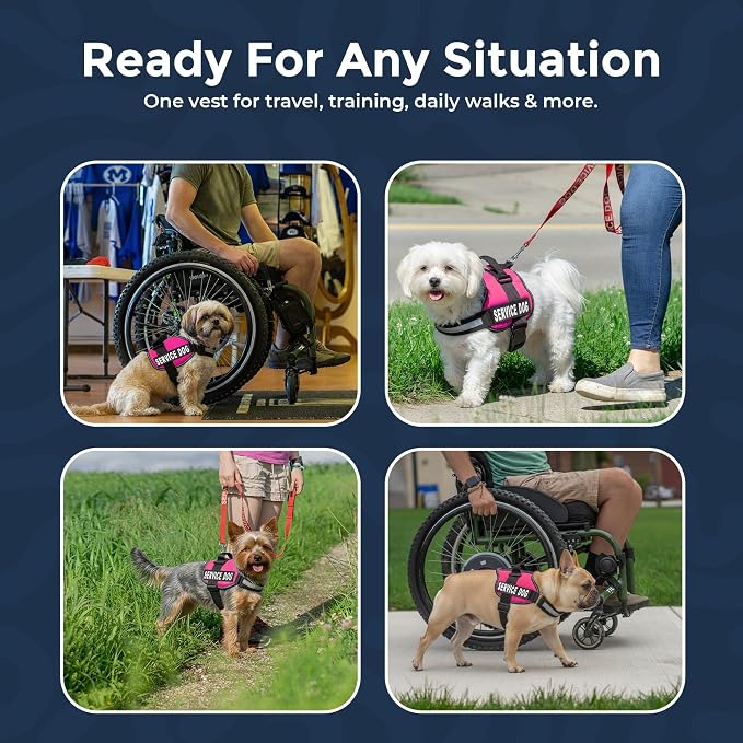 Industrial Puppy Service Dog Vest Harness - Durable & Adjustable Vest for Dog with Reflective Straps, Removable Patches, 50 ADA Cards, Handle & D-Ring, Travel and Daily Use,Hot Pink, Small 19".5-25"