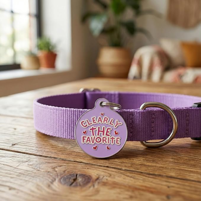 Bad Tags Personalized Dog and Cat ID Tags in 25+ Designs and 2 Sizes - 5 Lines of Custom Engraved Text - Funny Cute Personalized Pet Tags (Clearly The Favorite - Purple, Large (1.25 inch))