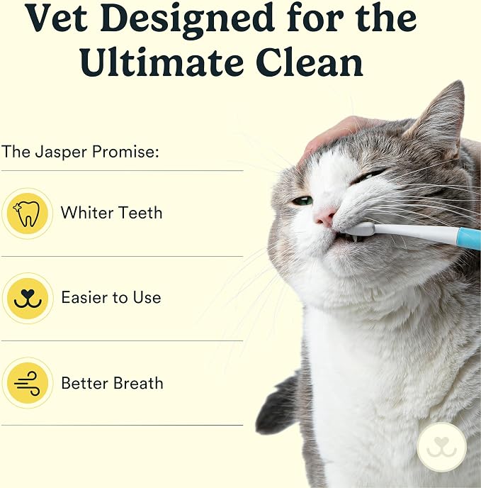 Jasper Microbrush Vet Approved Cat Toothbrush, Soft-Bristled Toothbrush Kit for Felines & Small Dogs, Non-Slip Handle with 2 Replaceable Tooth Brush Heads, Use with Cat Toothpaste, 2-Pack, Gray Mist