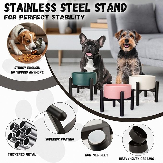 Raised Ceramic Dog Bowl, 6.1'' Modern Feeding Bowl with Non-Slip Stainless Steel Stand, Elevated Food or Water Dish for Small to Medium Dogs, 2 Cups (28.75 fl oz)- Black