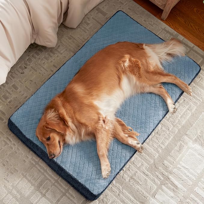 JOEJOY Orthopedic Medium Dog Bed, Washable Dog Crate Bed Medium Sized with Removable Cover, Egg Memory Foam Pet Beds, Blue, 29"x18"