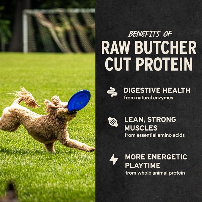 Vital Essentials Freeze Dried Dog Treats, Beef Bites, 6.2 oz Bag | Single Protein, Made With Beef & Liver, Premium Quality Protein, Grain-Free Training Treats