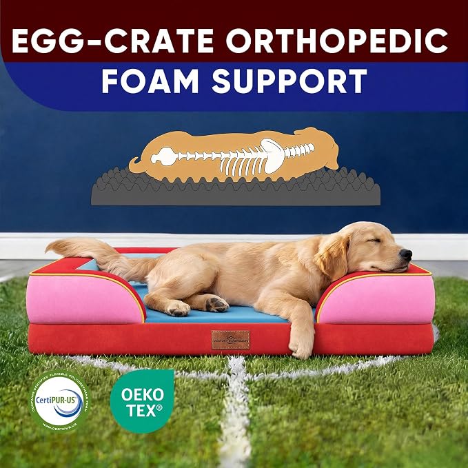 Comfort Expression Orthopedic Dog Bed for Extra Large Dogs with Bolster | Waterproof Dog Couch Bed with Washable Cover & Non-Slip Bottom, Supportive Egg Crate Foam XL Pet Bed, 45x35 Inch