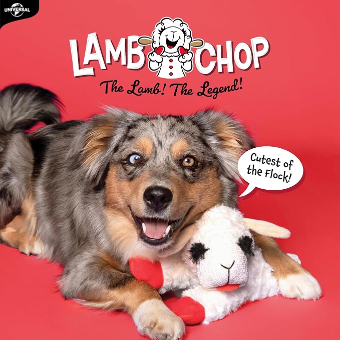 Multipet Lamb Chop Dog Plush Toy - Squeaky Toy for Small & Medium Dogs - Extra Soft Plush - Stuffed Animal for Cuddling & Playing (10", Cream, 5 Squeakers)