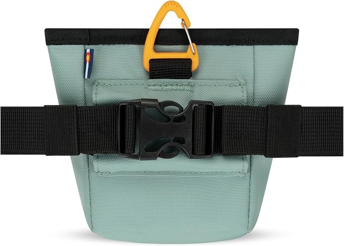 Goodie Treat Bag, Dog Treat Training Pouch | Magnetic Closure | 3 Ways to Wear | Hands-Free Waist Belt | Water-Resistant Recycled Vegan Fabric (Surf)