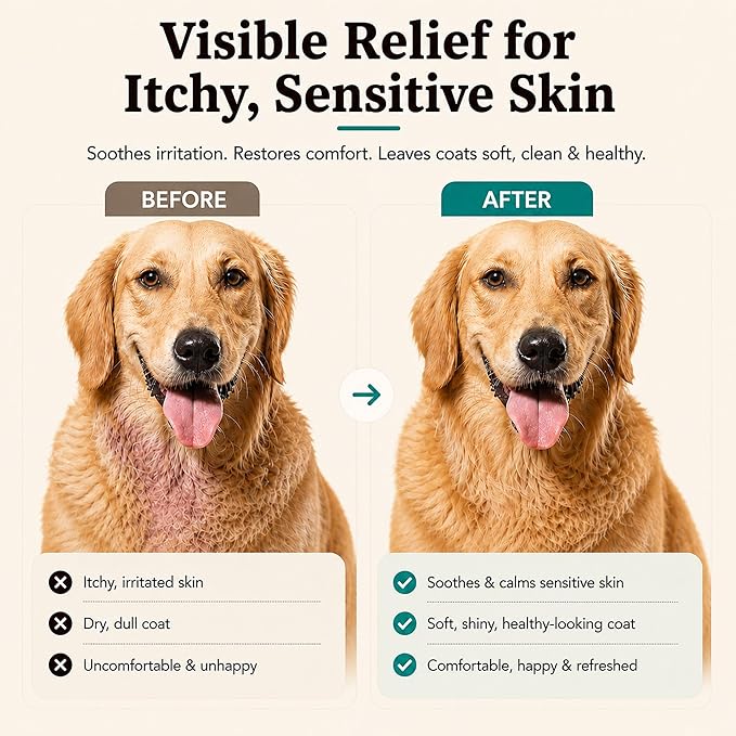 Natural Dog Company Sensitive Skin Dog Shampoo – Hypoallergenic Oatmeal Anti Itch Shampoo for Dogs, Gentle Puppy & Dog Wash with Aloe Vera, Manuka Honey & Chamomile, Odor Control, 12 oz