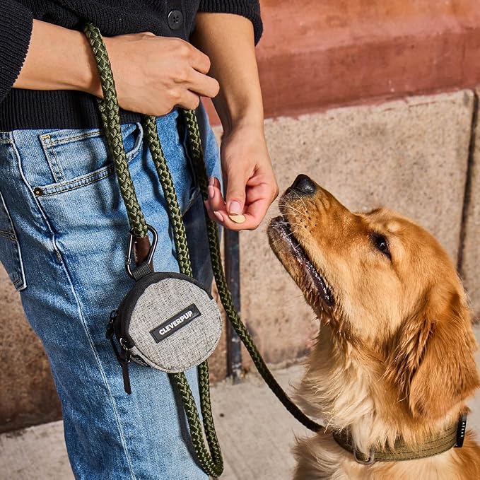 Snackpack Double Insulated Dog Treat Pouch – 1.5 Cup Capacity, 2 BPA-Free Waterproof Zipper Pockets, Carabiner for Belt/Leash – Compact Training & Travel Bag – Heather Grey