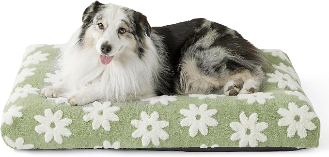 LE SURE XLarge Dog Bed-Thick Shredded Chopped Foam Pet Bed Indoor with Removable Cover, Cute Modern Fuzzy Plush & Anti Slip Bottom, Green