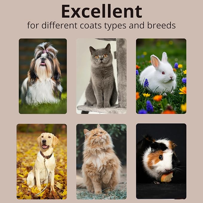 Removes Loose Fur & Tangles Fast | Dog & Cat Slicker Brush | Bamboo Deshedding Tool for All Coat Types | Gentle & Eco-Friendly Grooming