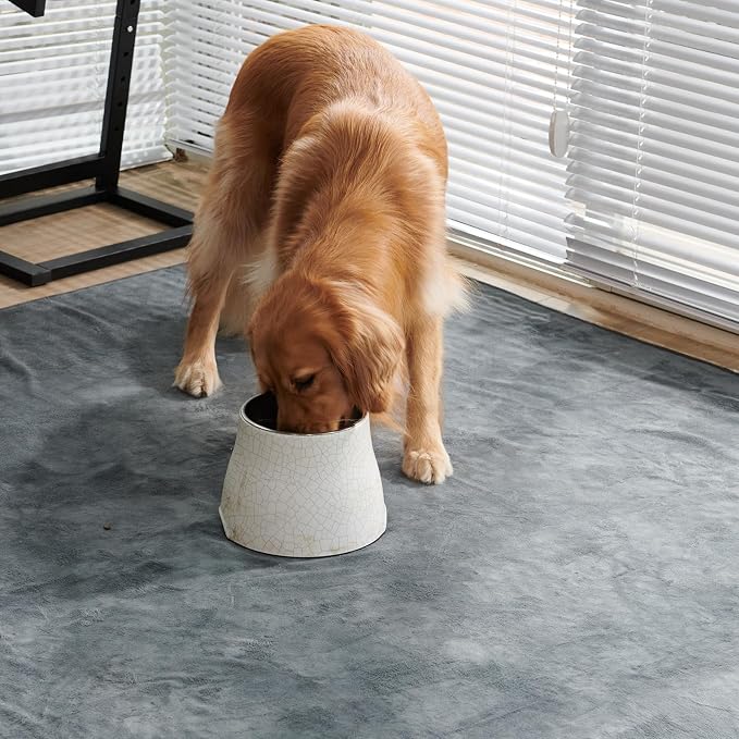 Washable Pee Pads for Dogs, Non-Slip, Waterproof Puppy Pads 2 Pack, 41x41 | Machine Washable, Easy to Clean, Whelping Pads, Absorb Dog Mats for Whelping, Potty Training, Playpen, Crate,Dog Incontience