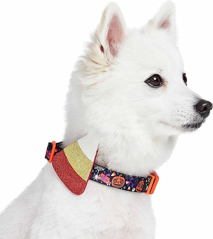 Blueberry Pet Halloween Candy Corn Adjustable Dog Collar with Detachable Glitter Accessory, Small, Neck 12"-16"