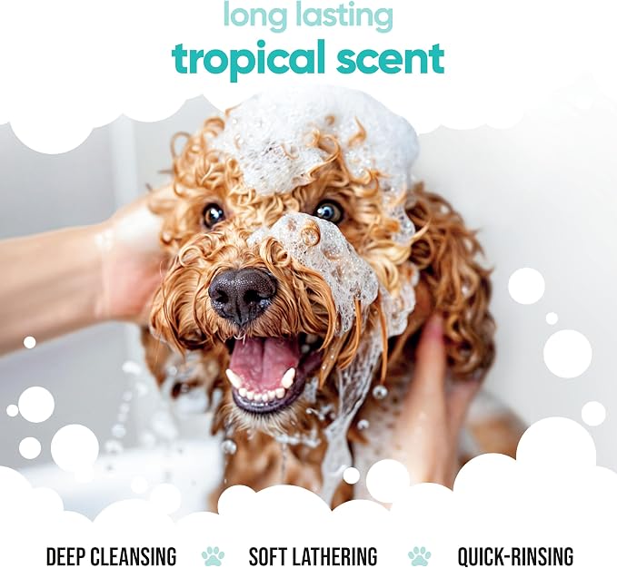Tropical Dog Shampoo by Buddycare | Dry Skin & Itchy Skin Relief for Smelly Dogs | Deep Cleansing Shampoo for Dogs Puppy Sensitive Skin | Dog Shampoo & Conditioner | with Aloe & Vitamin B5 (16.90oz)