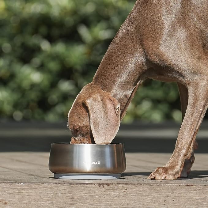 Pawaii Dog Bowl,34 oz Stainless Steel Food and Water Bowl,ID Tag,1 Pack | Double-Wall Design,Non-Slip Rubber Base,Dishwasher Safe,Smooth Open Design, Not a Slow Feeder,Easy-Rinse Interior