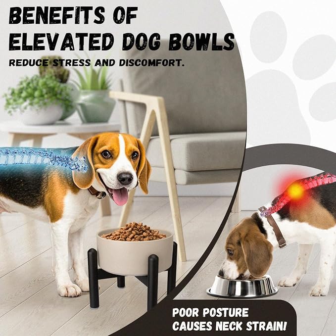 Raised Ceramic Dog Bowl, 6.1'' Modern Feeding Bowl with Non-Slip Stainless Steel Stand, Elevated Food or Water Dish for Small to Medium Dogs, 2 Cups (28.75 fl oz) - White