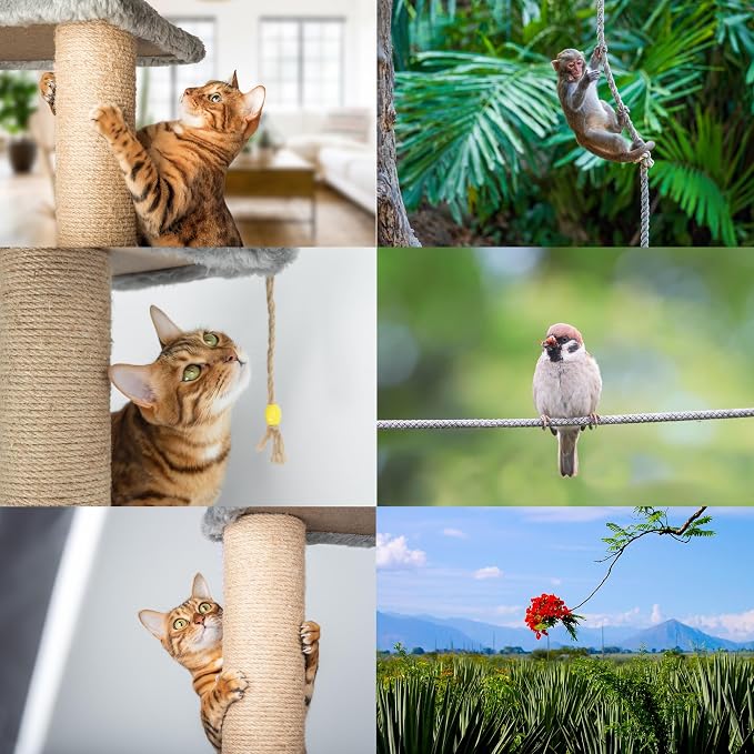 Premium Brazilian Sisal Rope, Natural Fiber 100% Sisal, Ultra Durable, Chemical-Free, Ideal for DIY, Cats, Scratching Post Replacement, Home Decor, Garden, Crafting (1/6” 600 ft / 4mm 180m)