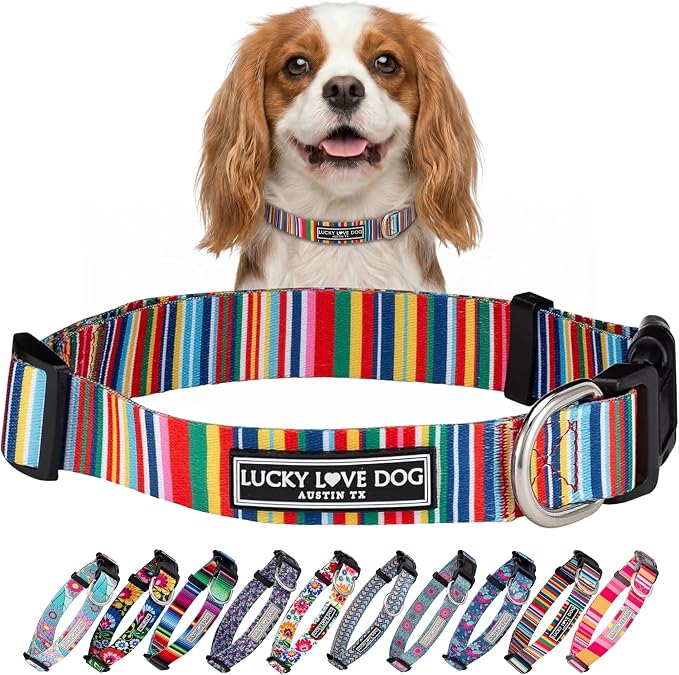 Lucky Love Dog - Adjustable Dog Collar with Easy Click Buckle for Small Dogs, Durable, & Comfortable for Male & Female Dogs, Pet Collar for Puppies & Adult Dogs - Hippie, Small